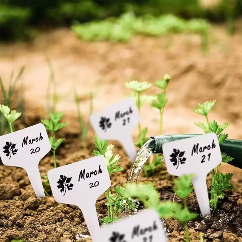 Étiquettes de jardin étanches pour plantes