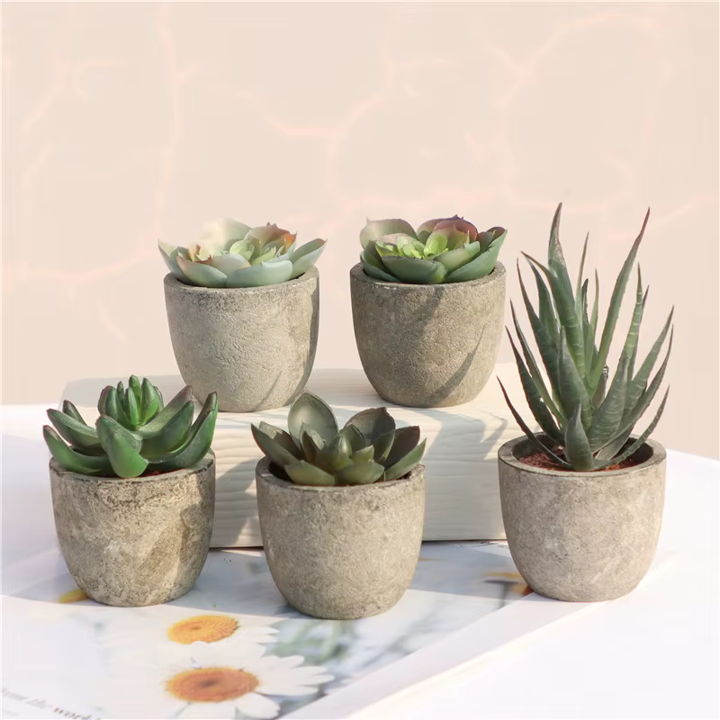 Mini plantes artificielles à l'aloe vera