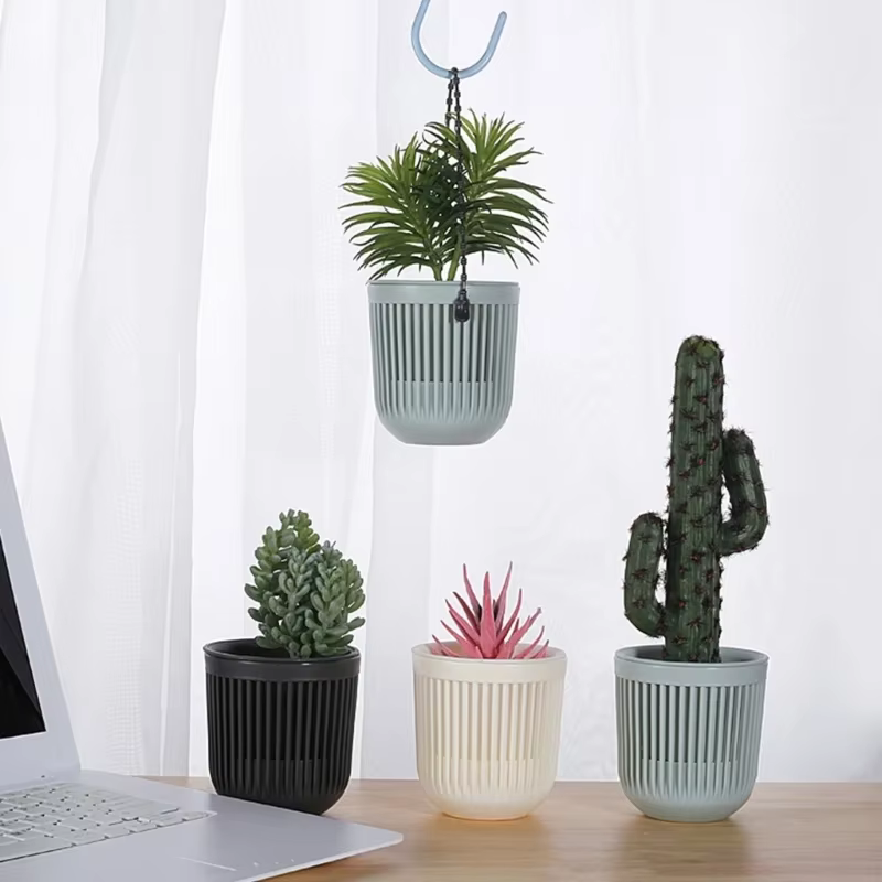 Mir suspendu pour plantes succulentes