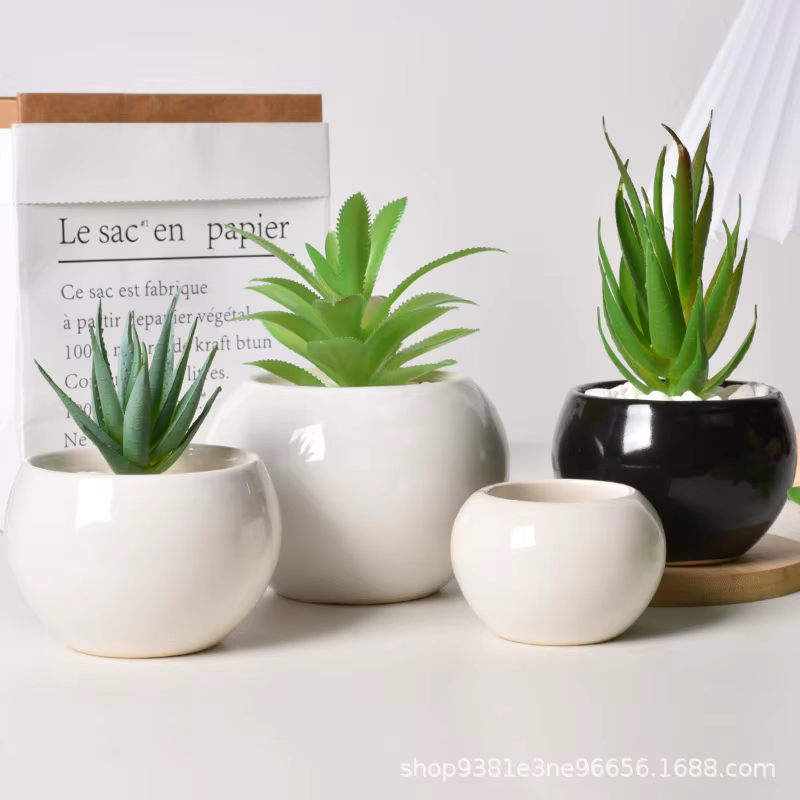 Petit pot rond en céramique pour plantes succulentes