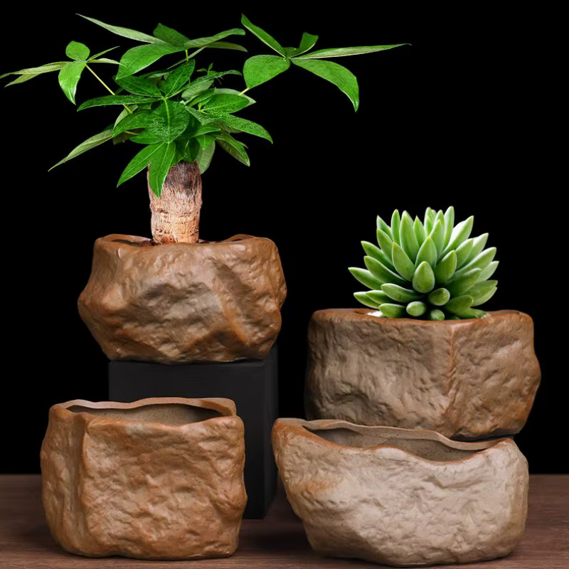 Pot Succulent en céramique résistant à l'usure en forme de pierre Cactus