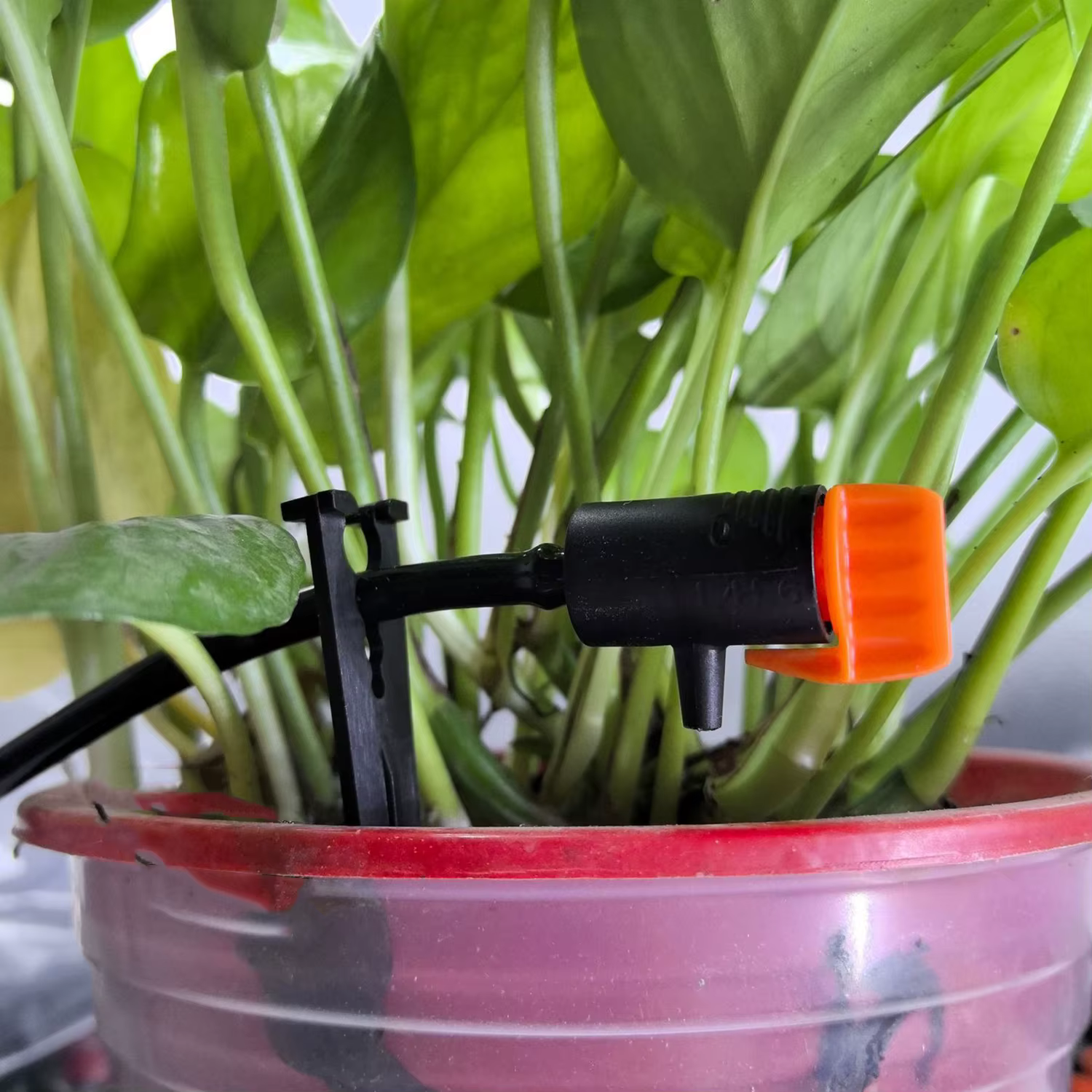 20 pièces – Régulateur d'émetteur réglable 0~60L pour micro-irrigation goutte