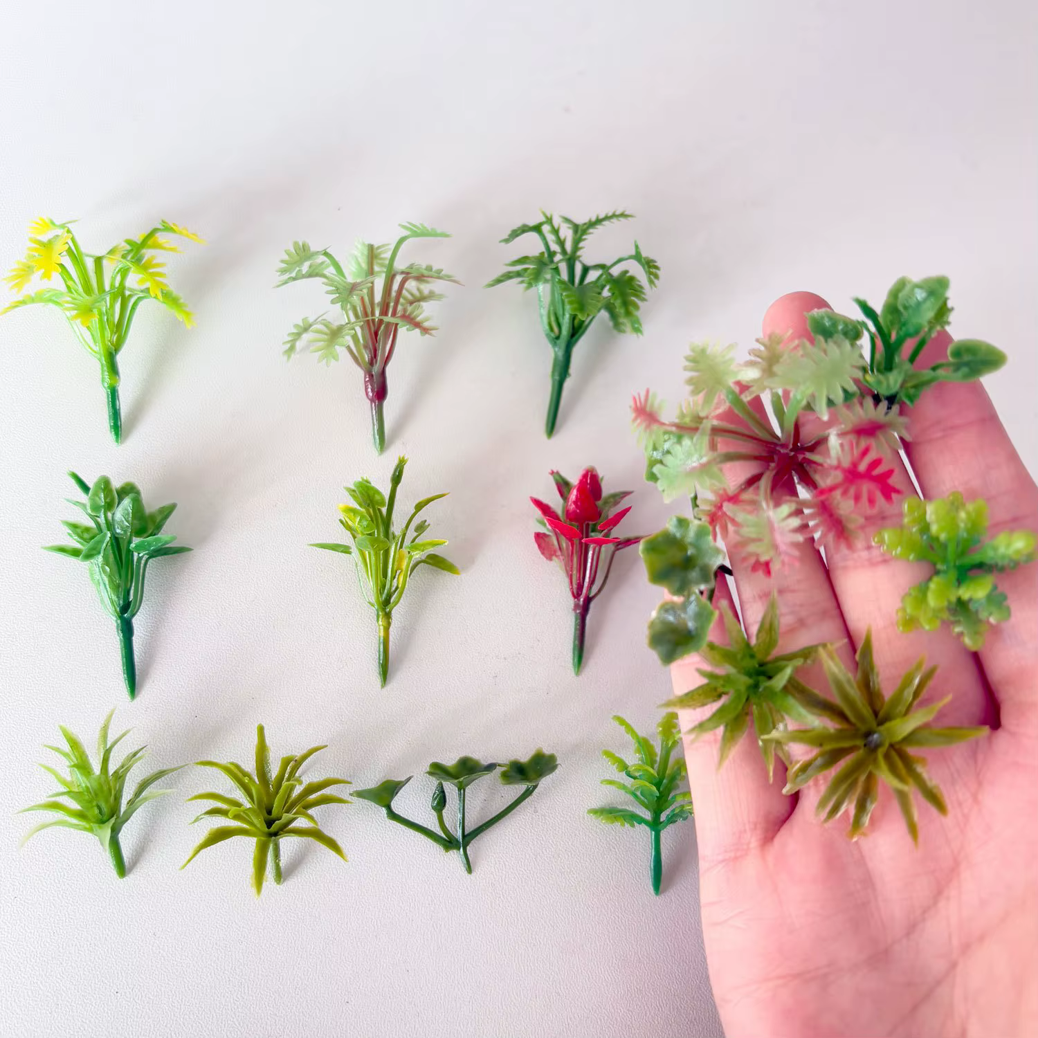 50 pièces plantes modèles de couleurs mélangées