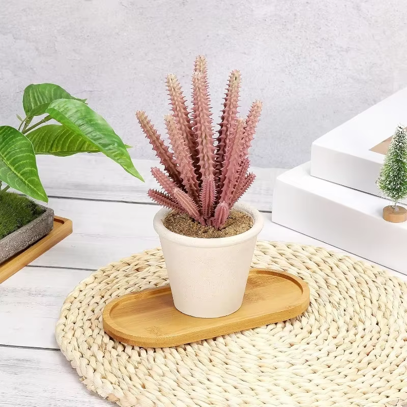Plateau de rangement en bambou pour la maison