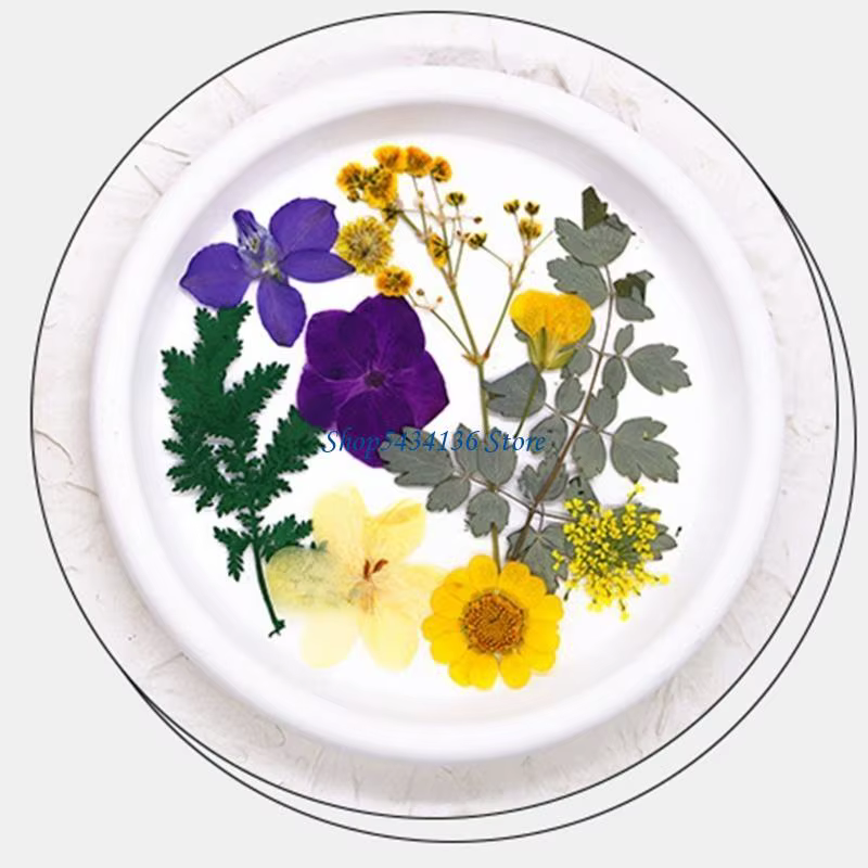 Fleur séchée pressée H7 pour moule en résine Feuilles fleurs séchées pressées naturelles pour le feuillette scrapbooking