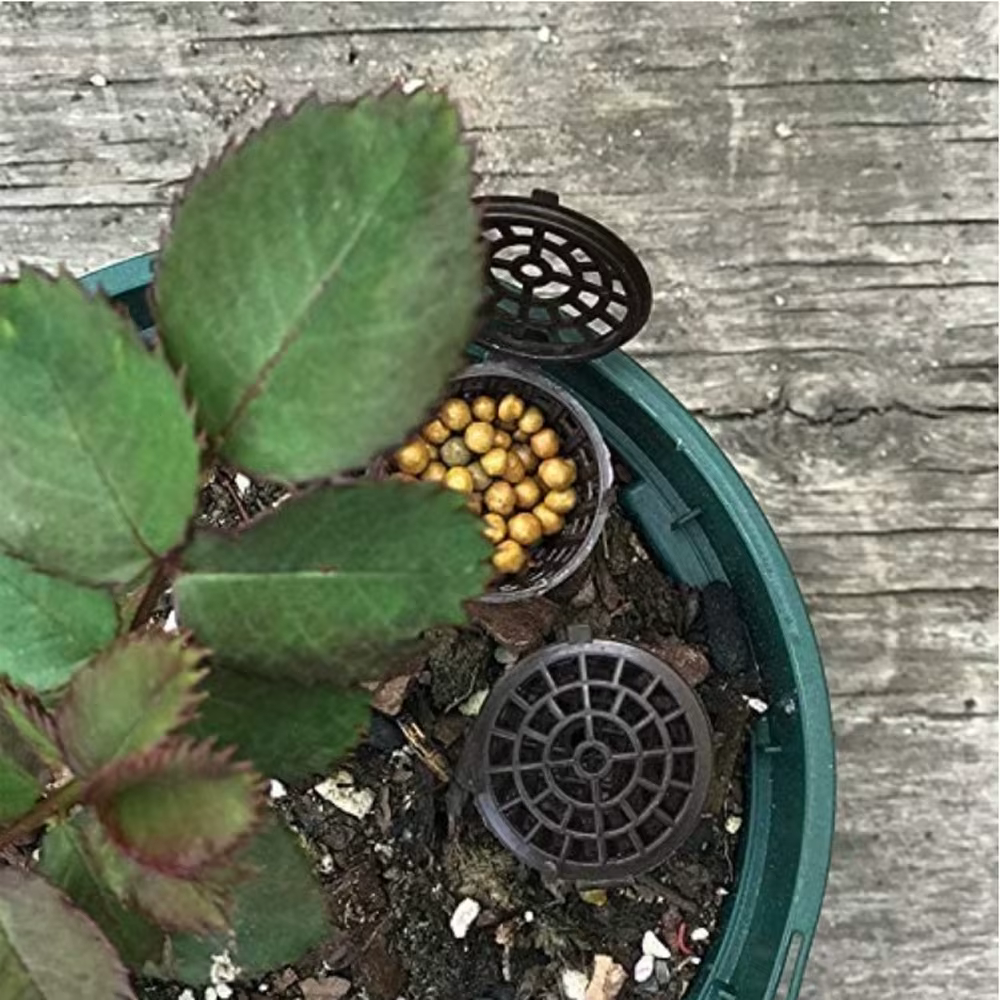 Mir de navigateur de plantes pour pot de fleur