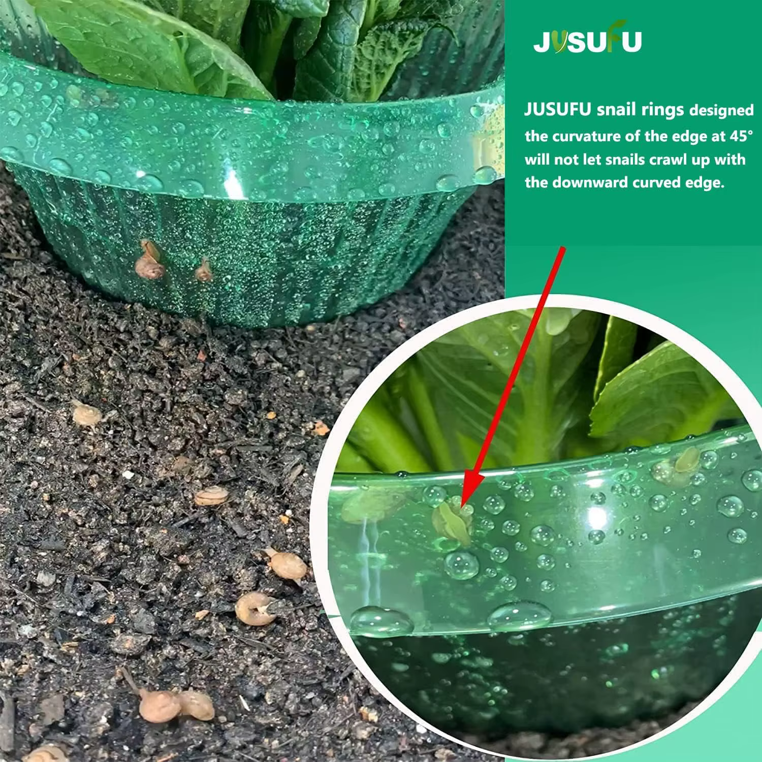 1/30 pièces Anneaux de protection anti-légionnaires pour plantes
