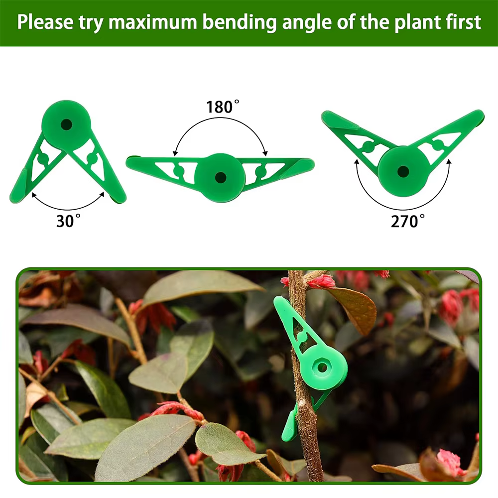 Clips d'entraînement pour cintreuse de Branches de plantes