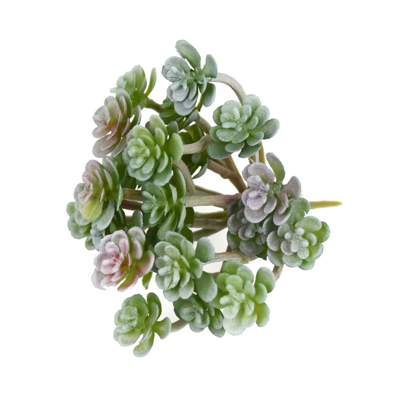 12 Pièces de Plantes Succulentes Artificielles Vertes