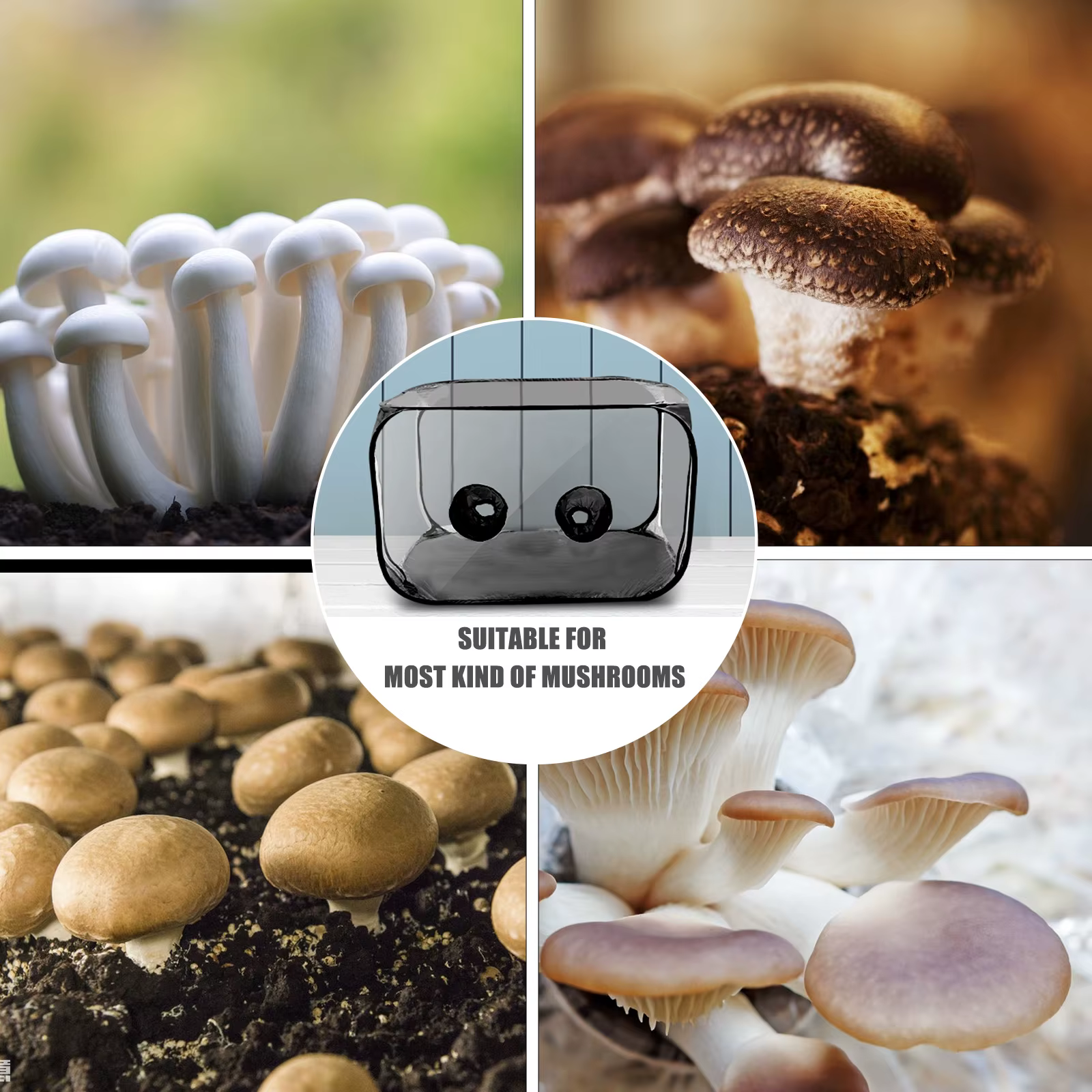 Boîte de culture de champignons - Avec ouverture zippée