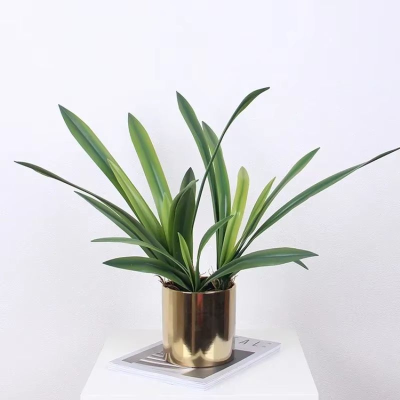 Feuilles de clivia artificielles décoratives d'étude