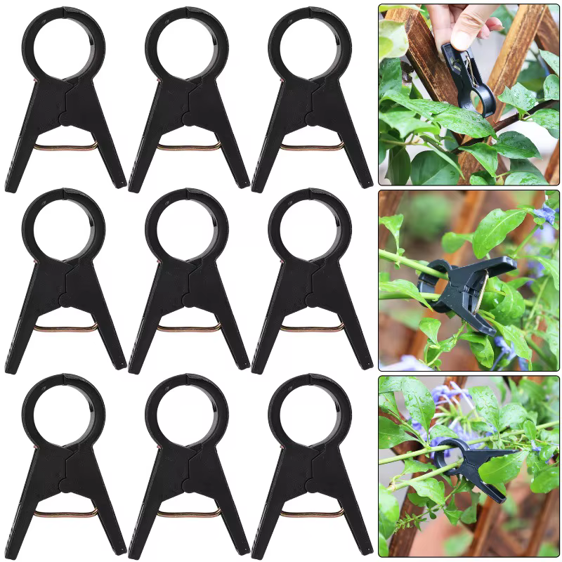 Clips de Support pour plantes