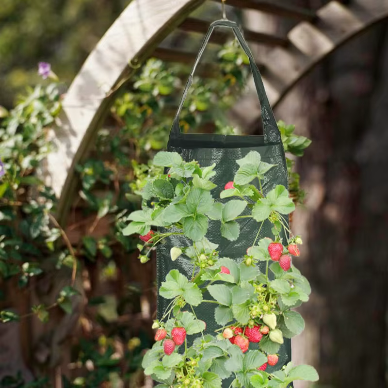 Sac de plantation de fraises suspendu, sac de culture de jardin PE dégradable, jardinière de fleurs et de légumes, décoration intérieure et extérieure, fournitures de jardin