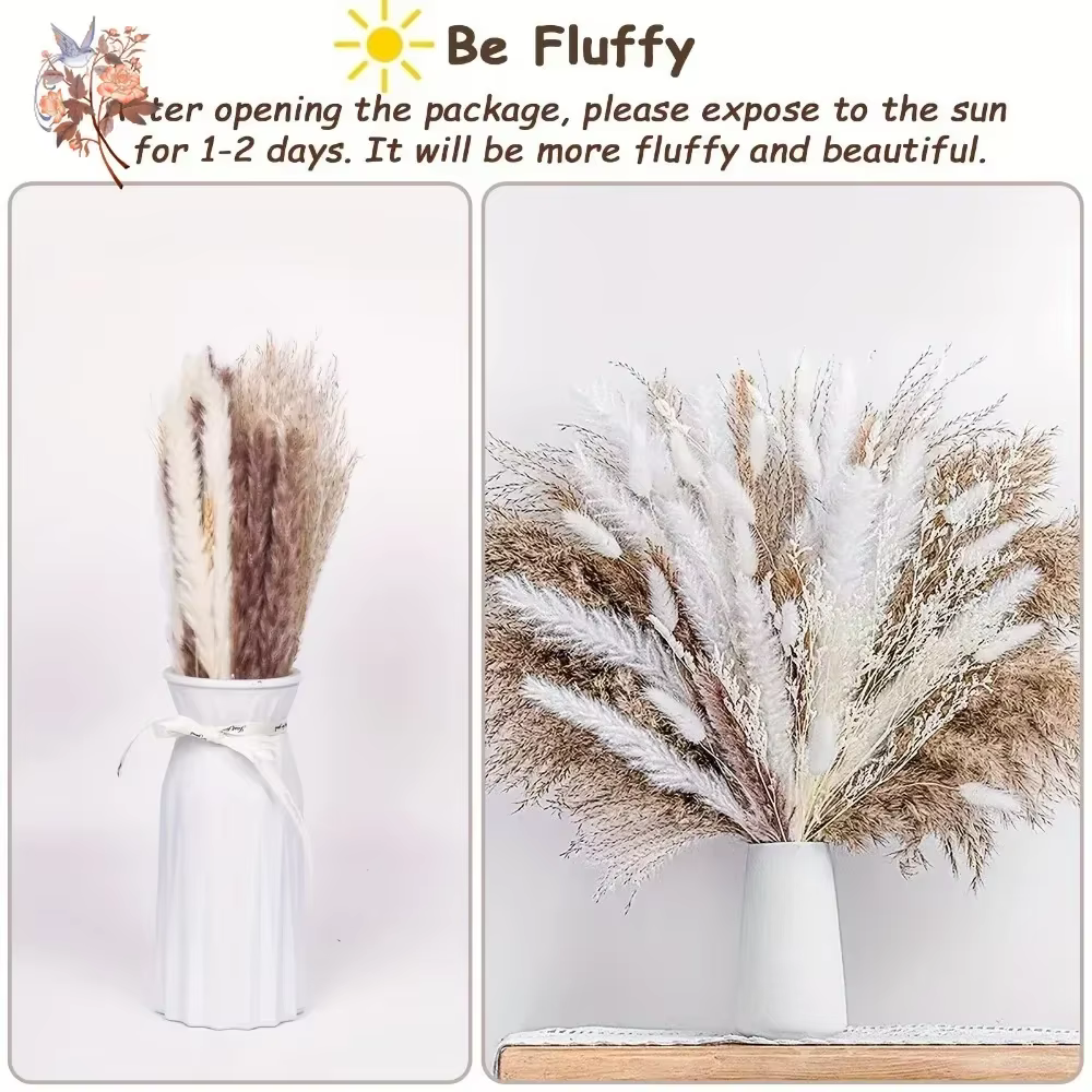 60 Pièces de Bouquet de Fleurs Séchées d'Herbe de la Pampa