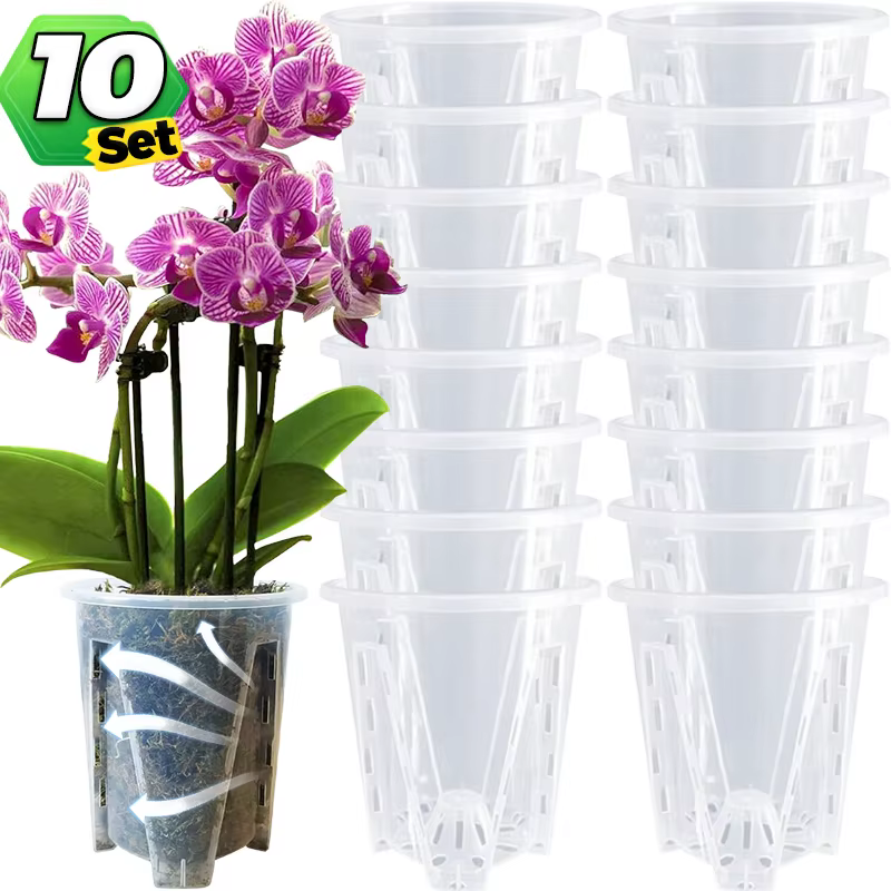 Pots d'orchidées transparents avec trous