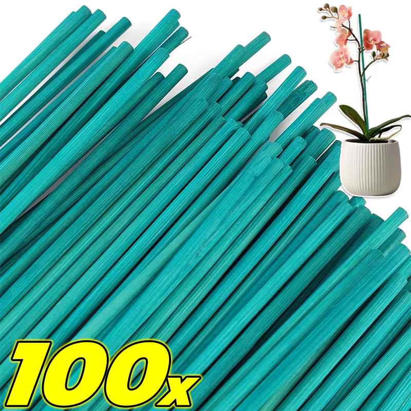 Piquets de Support de plantes en bambou polyvalents