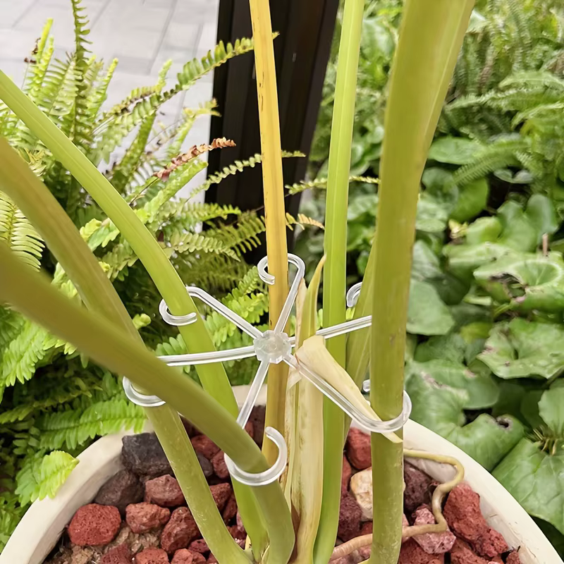 4 supports pliables anti-inclinaison pour plantes