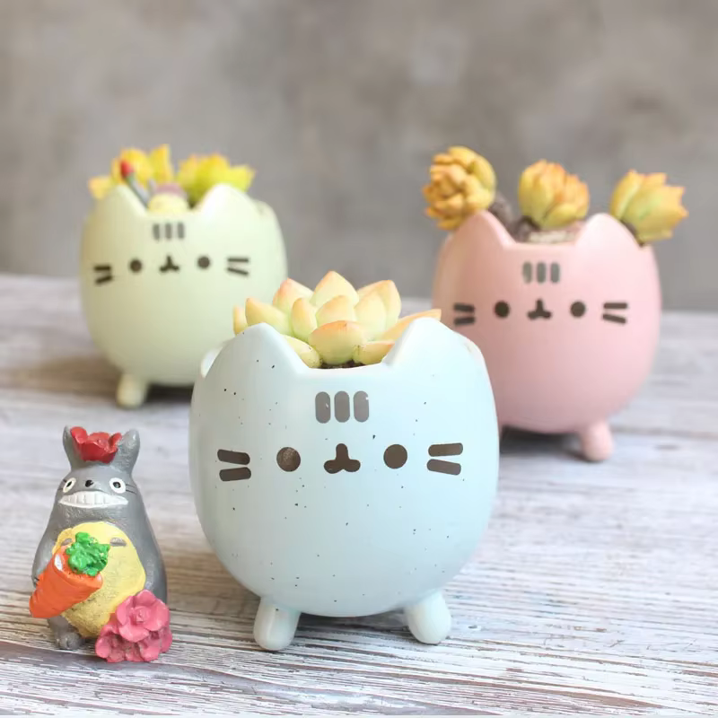 Pot de plantes succulentes avec trou