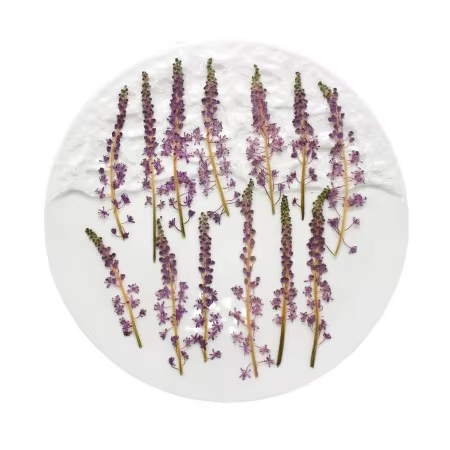 Fleur de Jujube en coton sauvage naturel