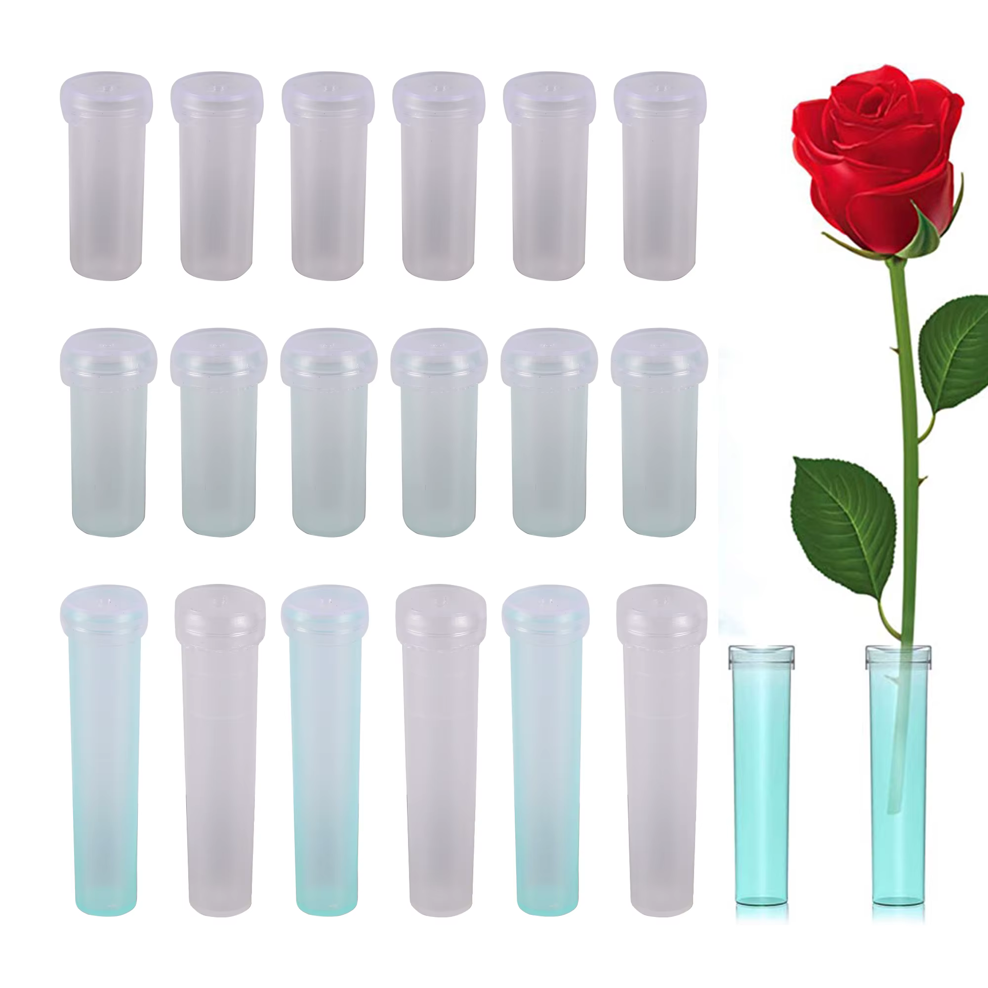 Tube de nutrition hydroponique avec couvercle pour plantes à fleurs