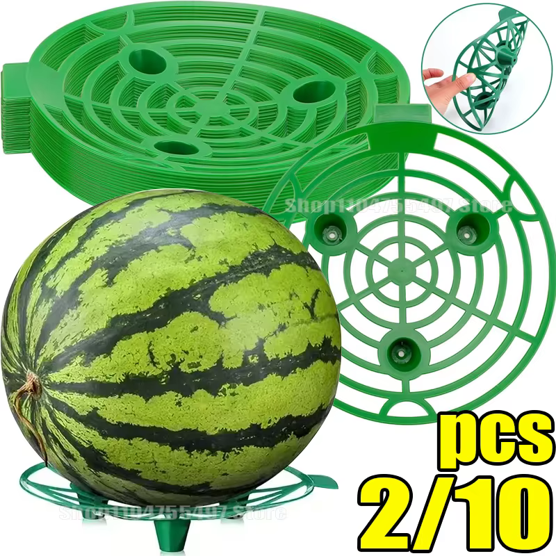 2/10 pièces Supports de plantes