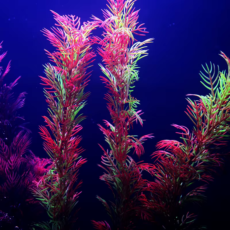 Plantes d'aquarium artificielles sous-marines multiples