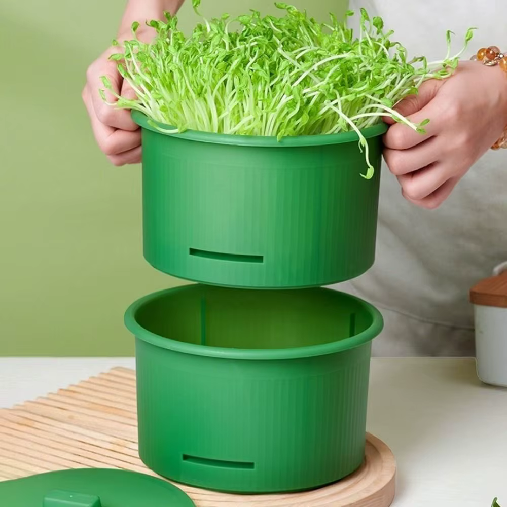 Pots de culture de pousses de légumes en plastique