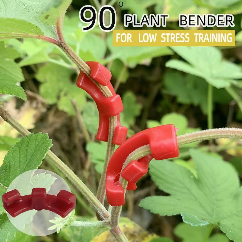 Outil de pliage de branches de bonsaï