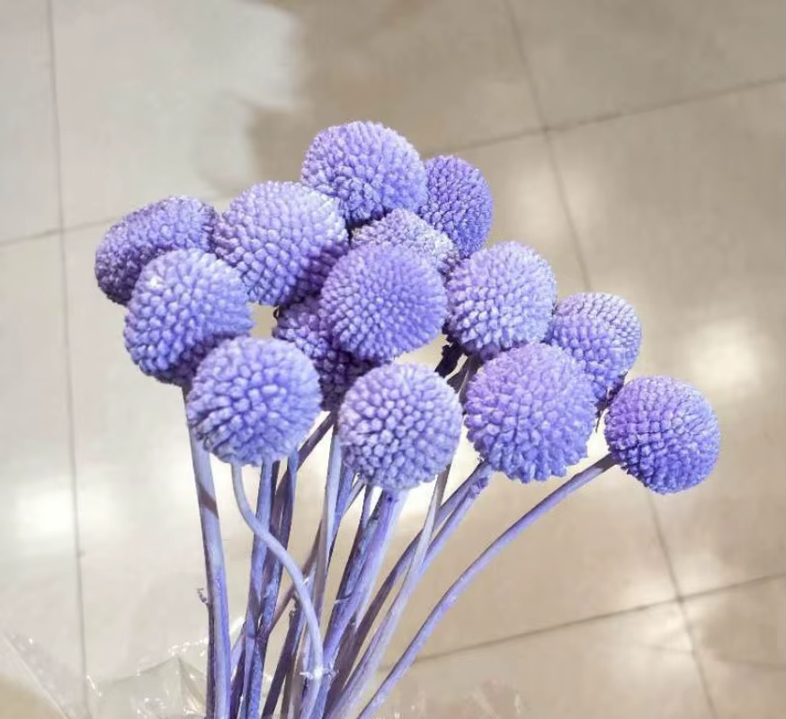 Bouquet de fleurs sèches en boule dorée