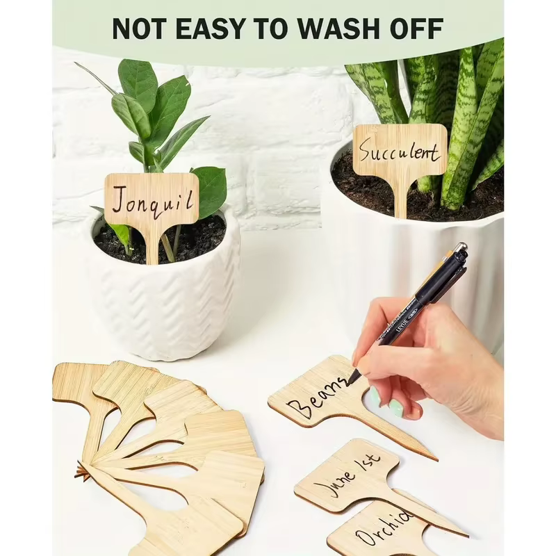 Étiquettes de plantes en bambou
