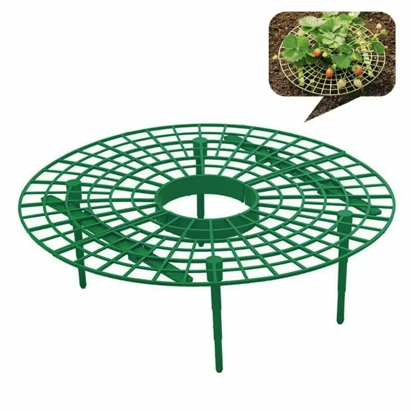 Plateau de plantation de fraises