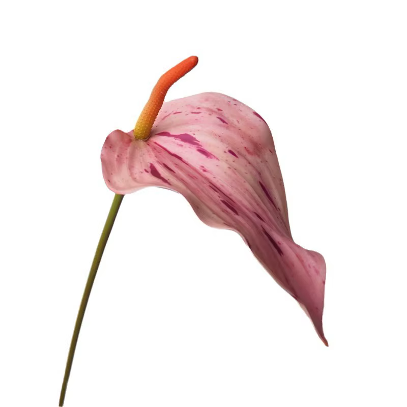 Fleur de palmier artificielle en Latex Anthurium