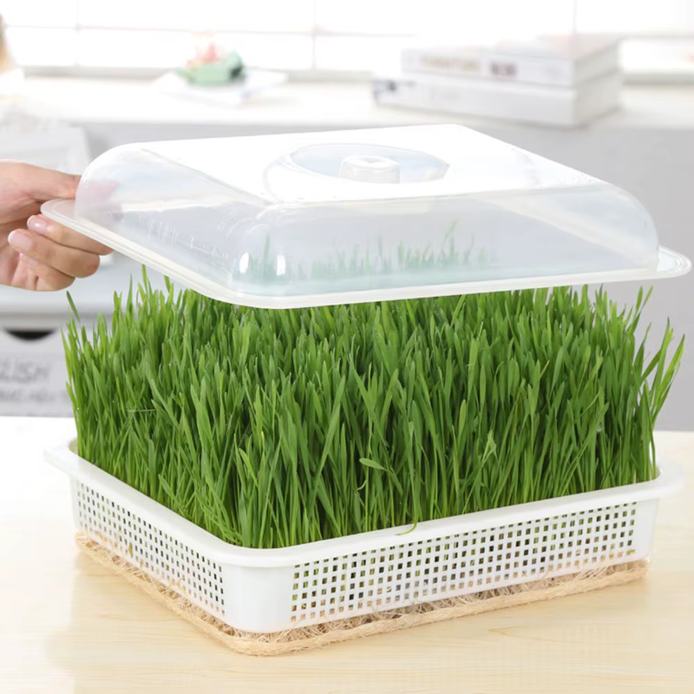 Fournitures de jardinage