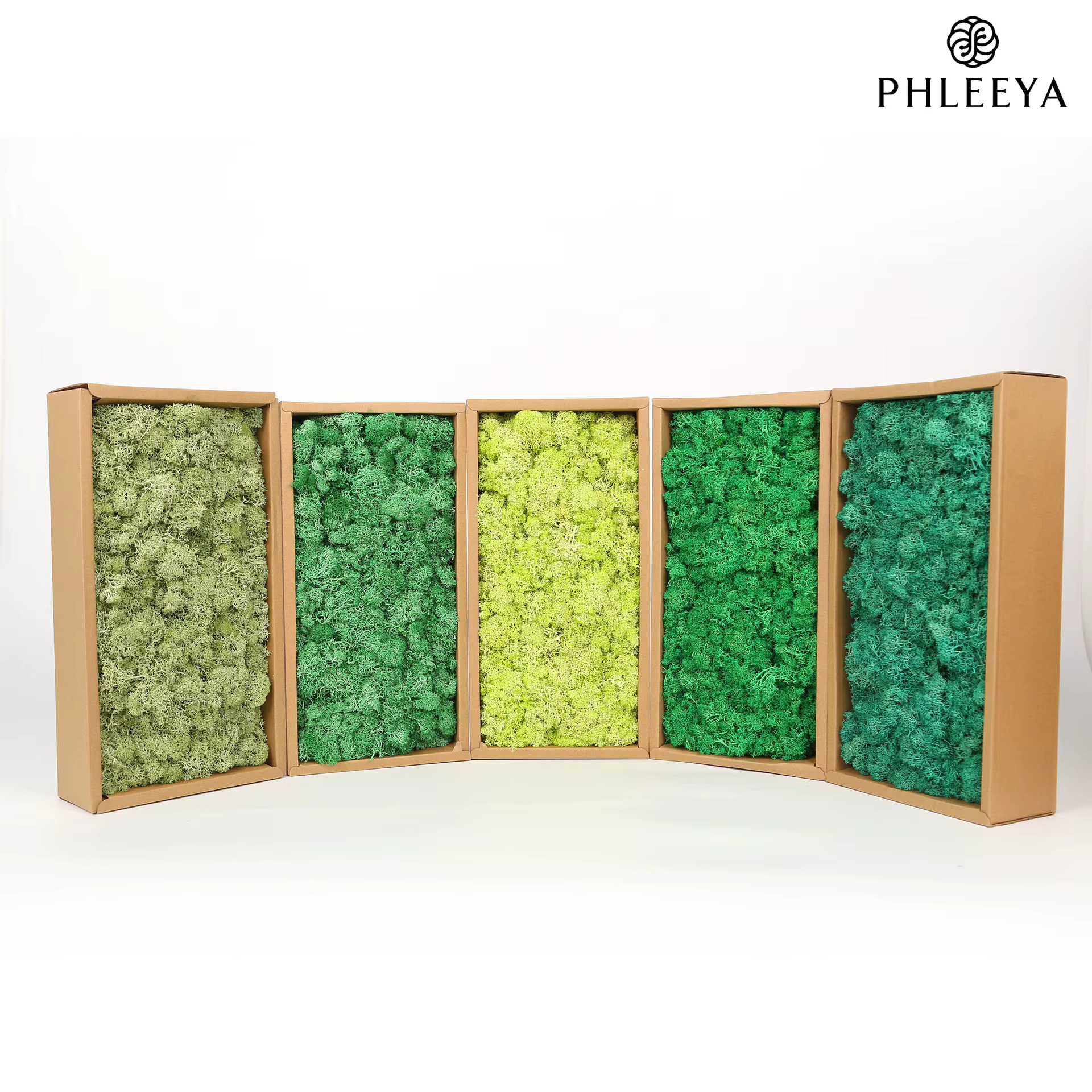 Plante verte artificielle