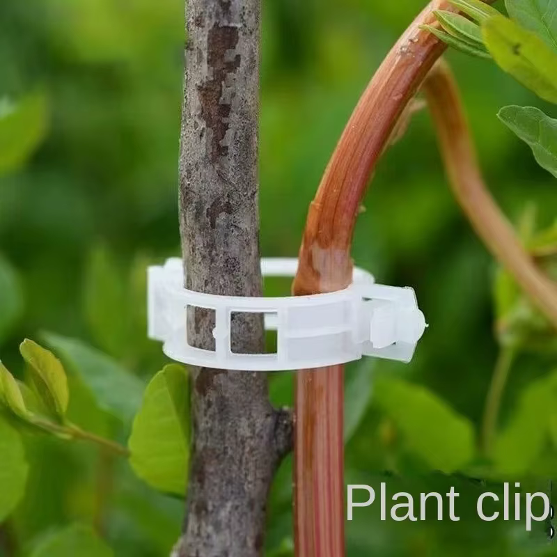 Clips de Support pour plantes