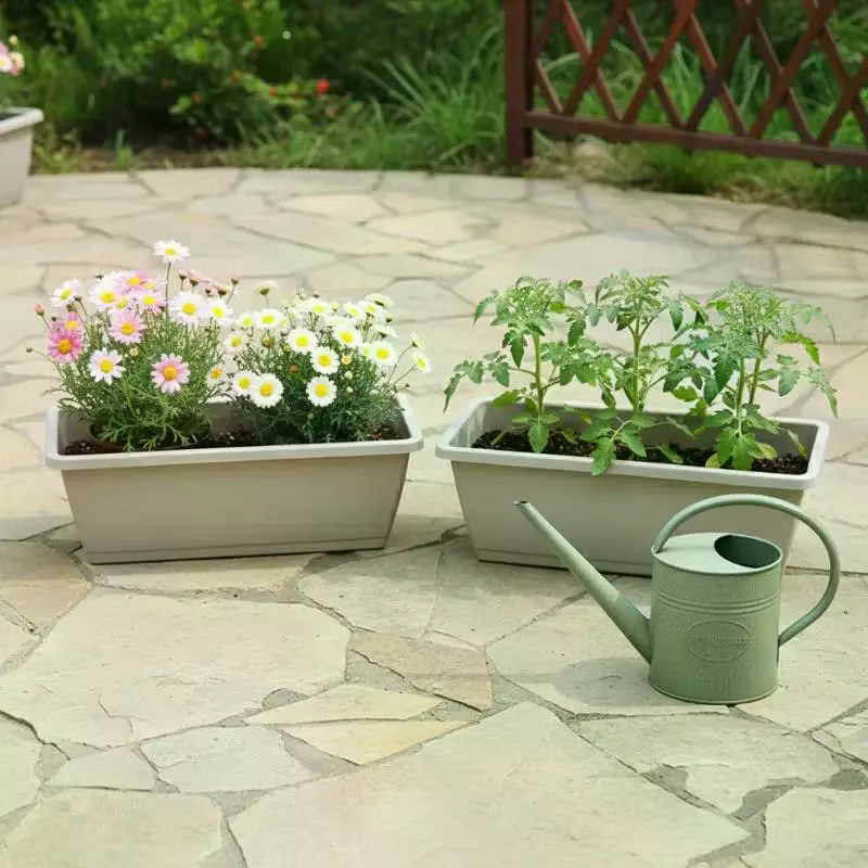 Pot de fleurs auto-absorbant pour culture de légumes d'intérieur avec trou de drainage et corde absorbante