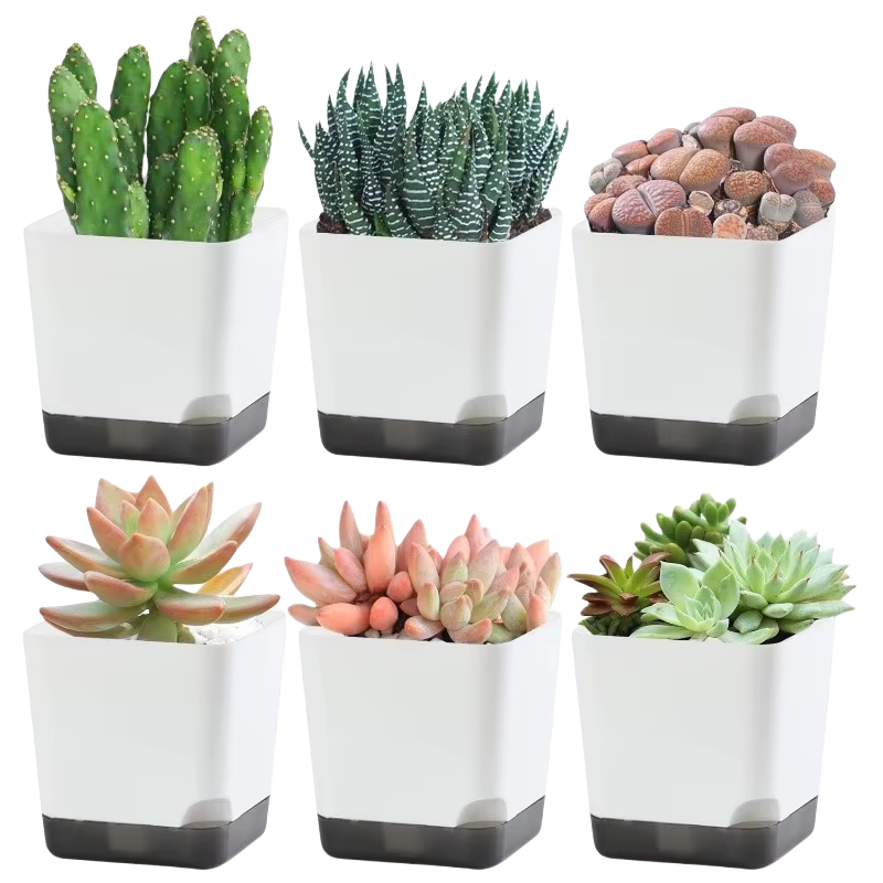 Pots de plantes 5 pièces
