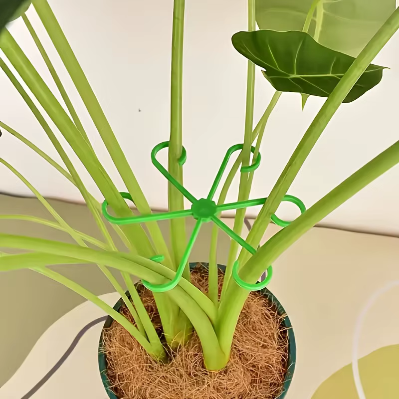 Ensemble de 4 piquets de soutien pour plantes