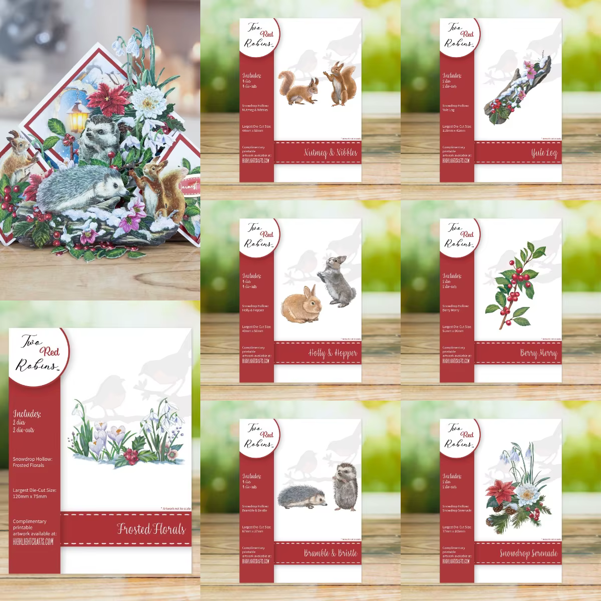 Nouvelle collection de matrices florales givrées 2026 pour le scrapbooking DIY