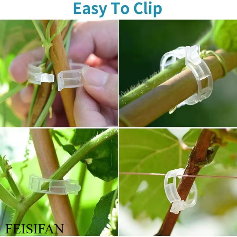 Pinces de fixation réutilisables en plastique pour plantes