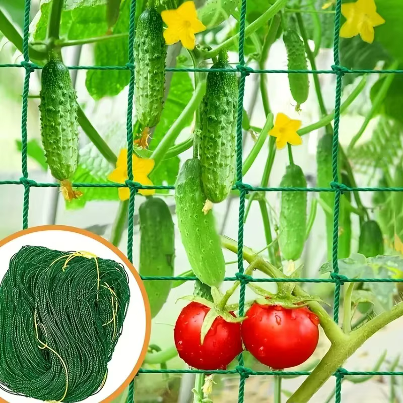 Filet d'escalade pour plantes