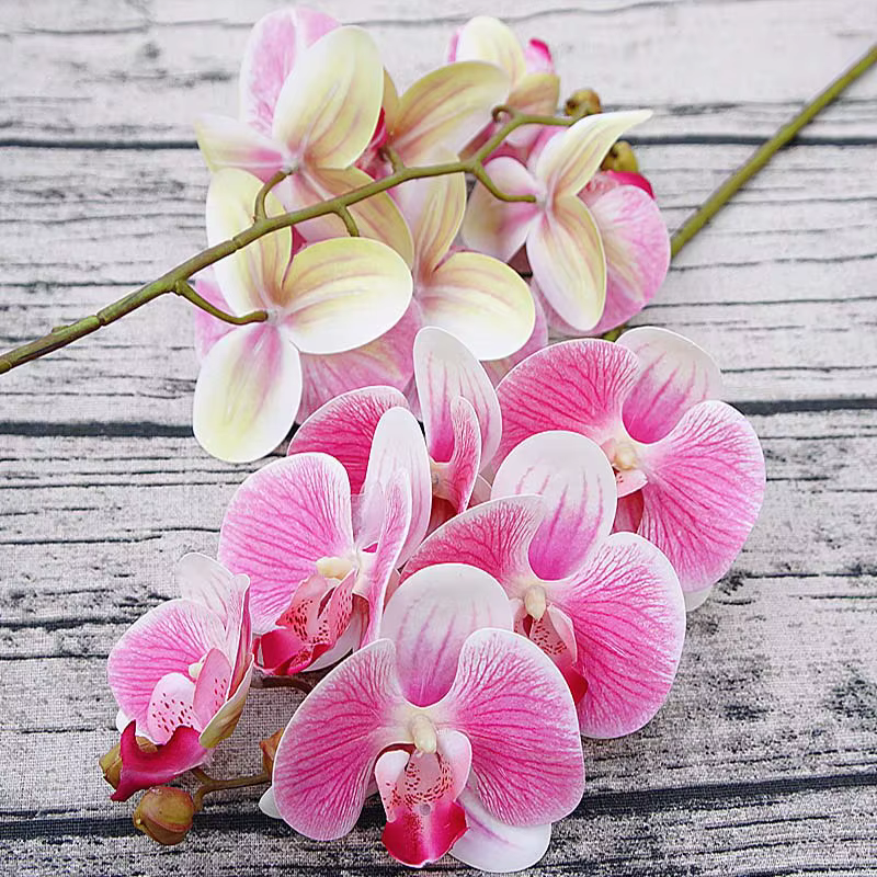Phalaenopsis artificiel 3D petit orchidée papillon 6 têtes fausse fleur maison draperie mur décoration de mariage Festival bricolage couronne