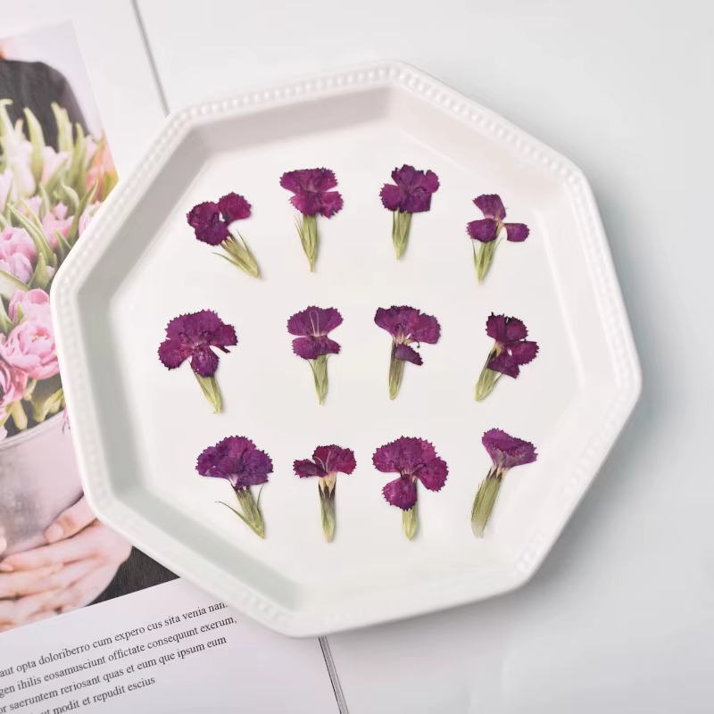 24 pièces/2-3CM, œillet naturel fleur séchée en relief acacia prune vraie