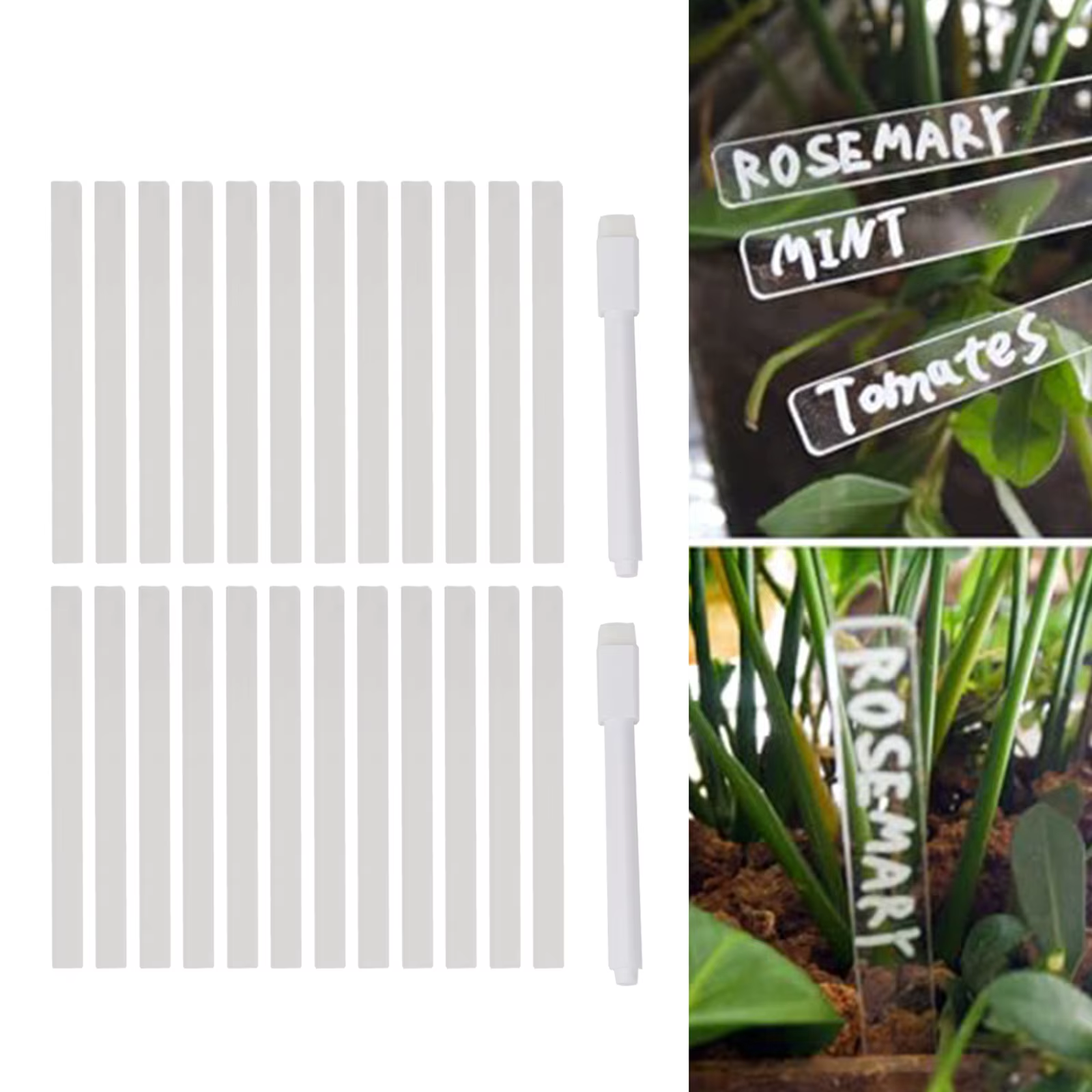 Étiquettes de plantes en acrylique avec stylo