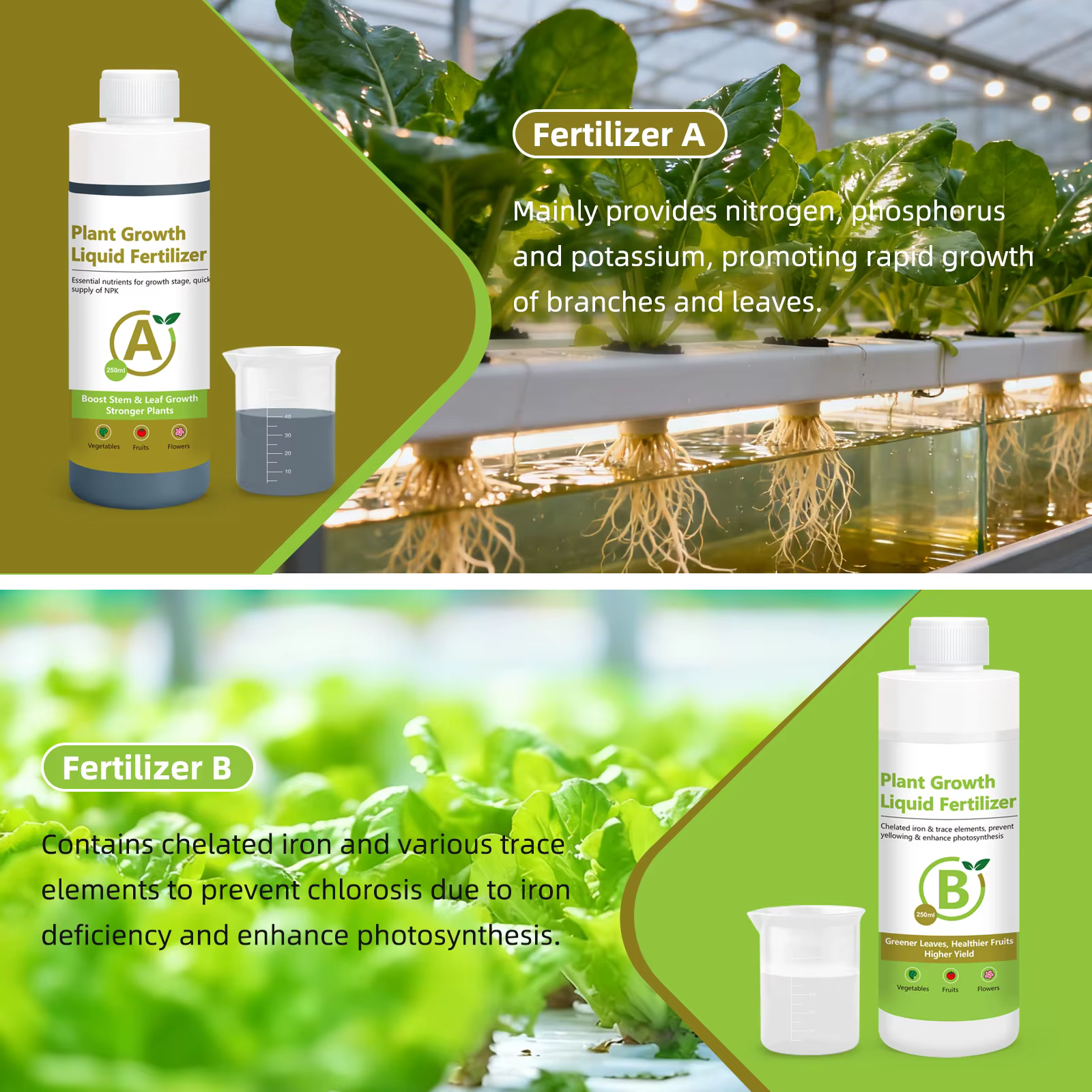 Solution nutritive hydroponique A B