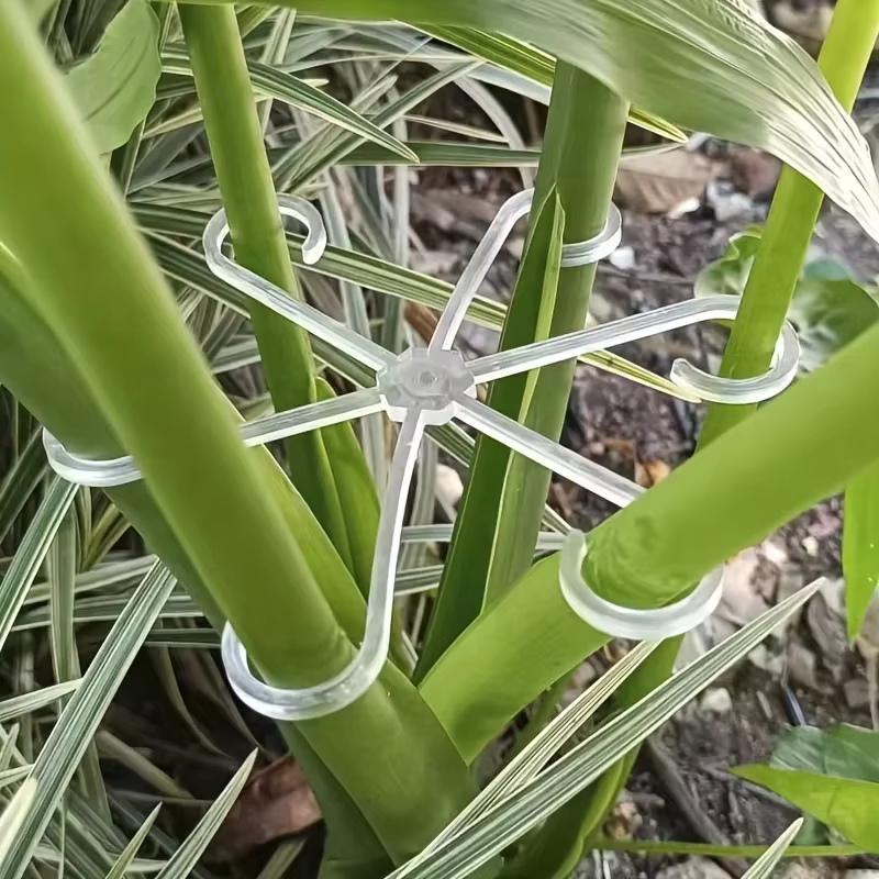 4 clips de support pour plantes en plastique