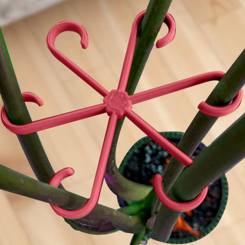 Clips de Support pour plantes grimpantes