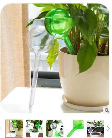 Ampoules d'arrosage automatique pour plantes