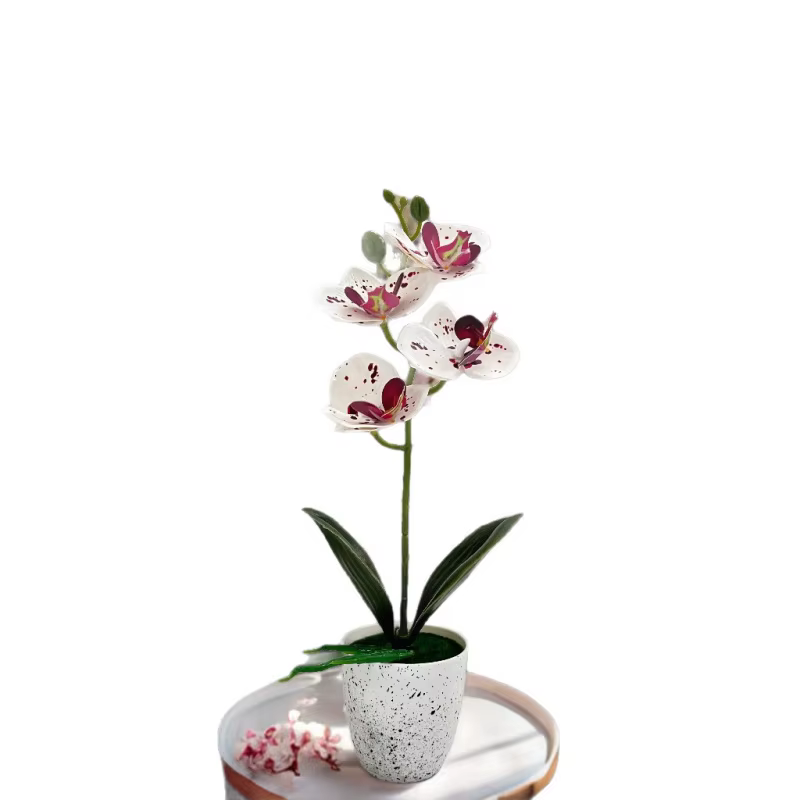 Orchidée Papillon – Ensemble de 4 fleurs en pot – Décoration de salon – Ornement en pot d'orchidée