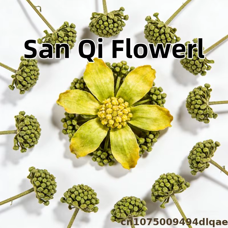 100% qualité séchée Panax Notoginseng fleur chine San Qi bourgeons de fleurs pour beauté santé savon parfum Weding bougie matériel